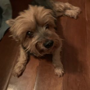 Meet your Posher, Pamela